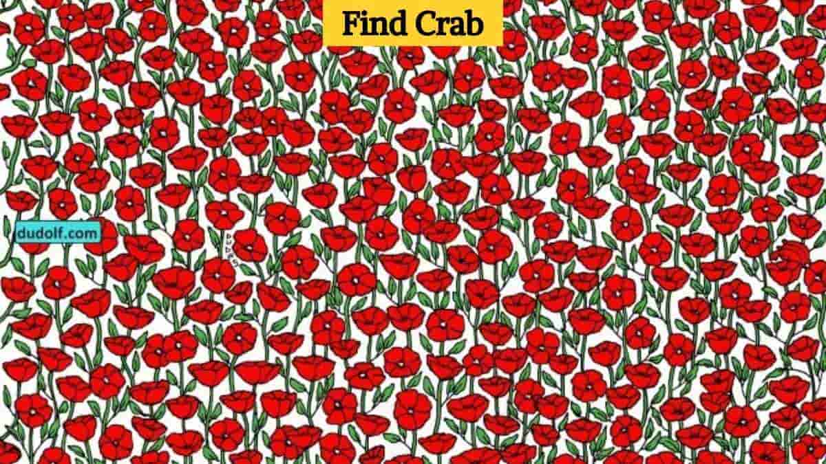 Optical Illusion: Use your hawk eyes to find a crab among roses in 8 seconds! 