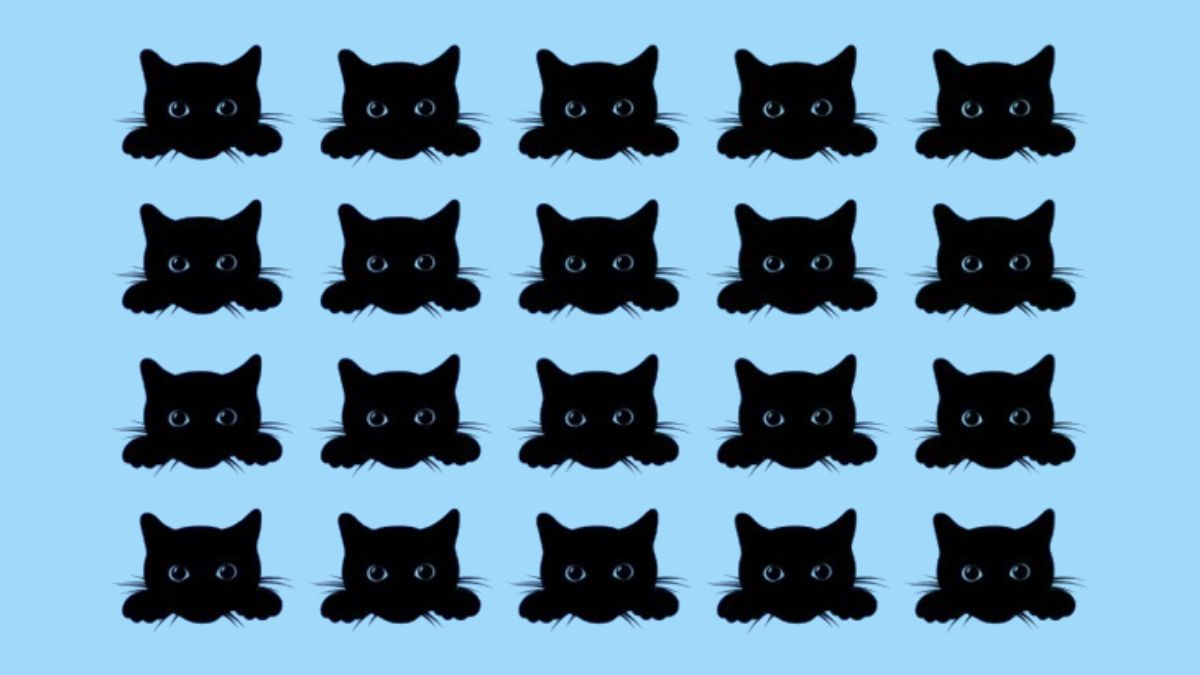 Optical Illusion: Find the different cat in the picture in 5 seconds!