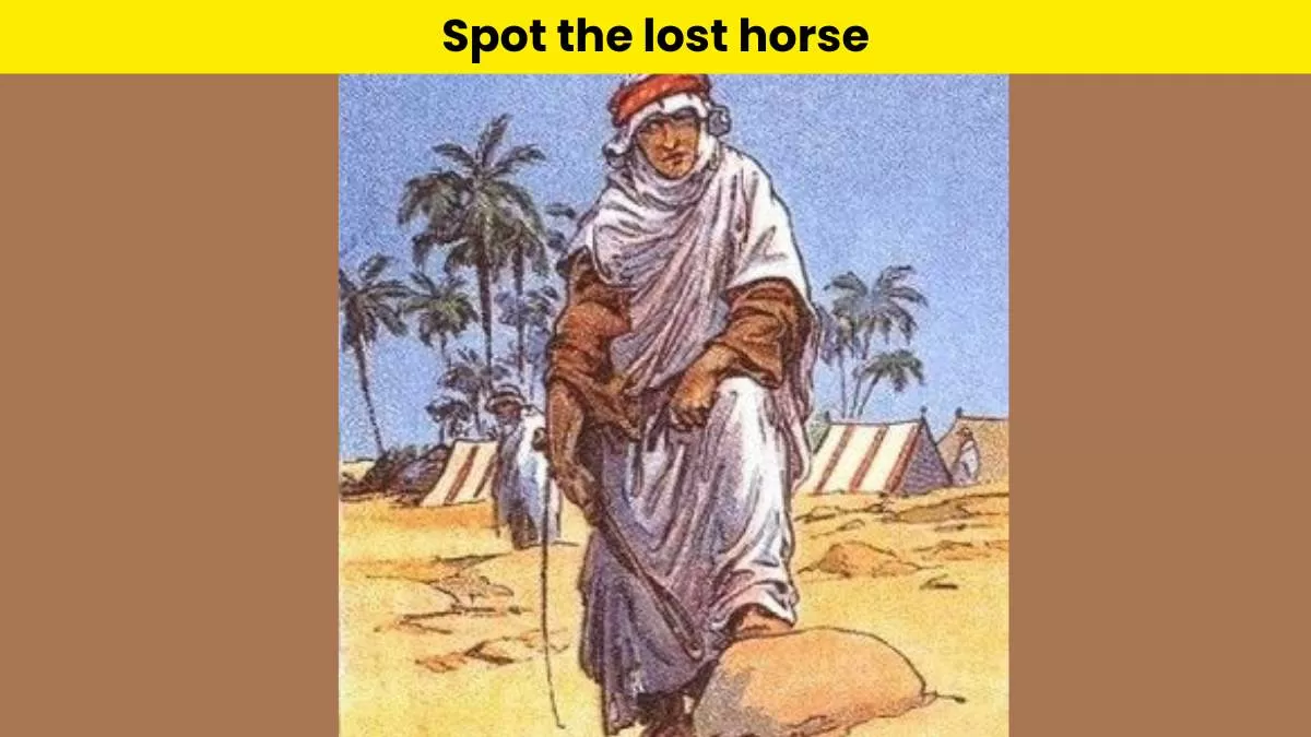 Can you spot the lost horse?