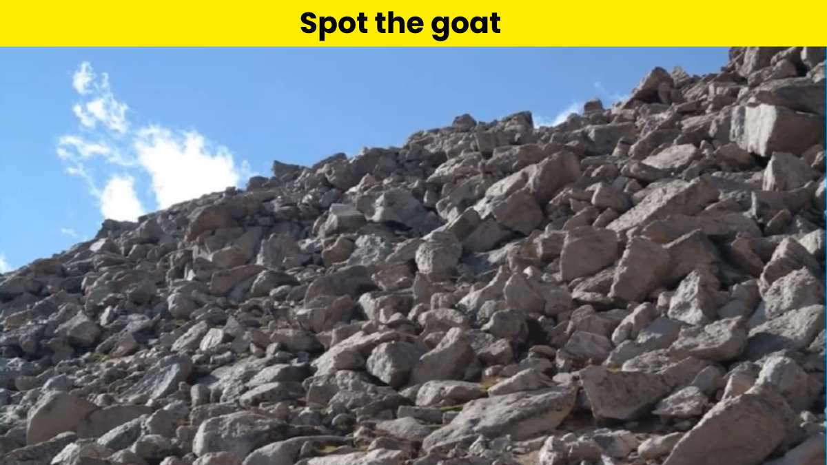 Only keen observers can spot the goat on the mountain in 9 seconds!