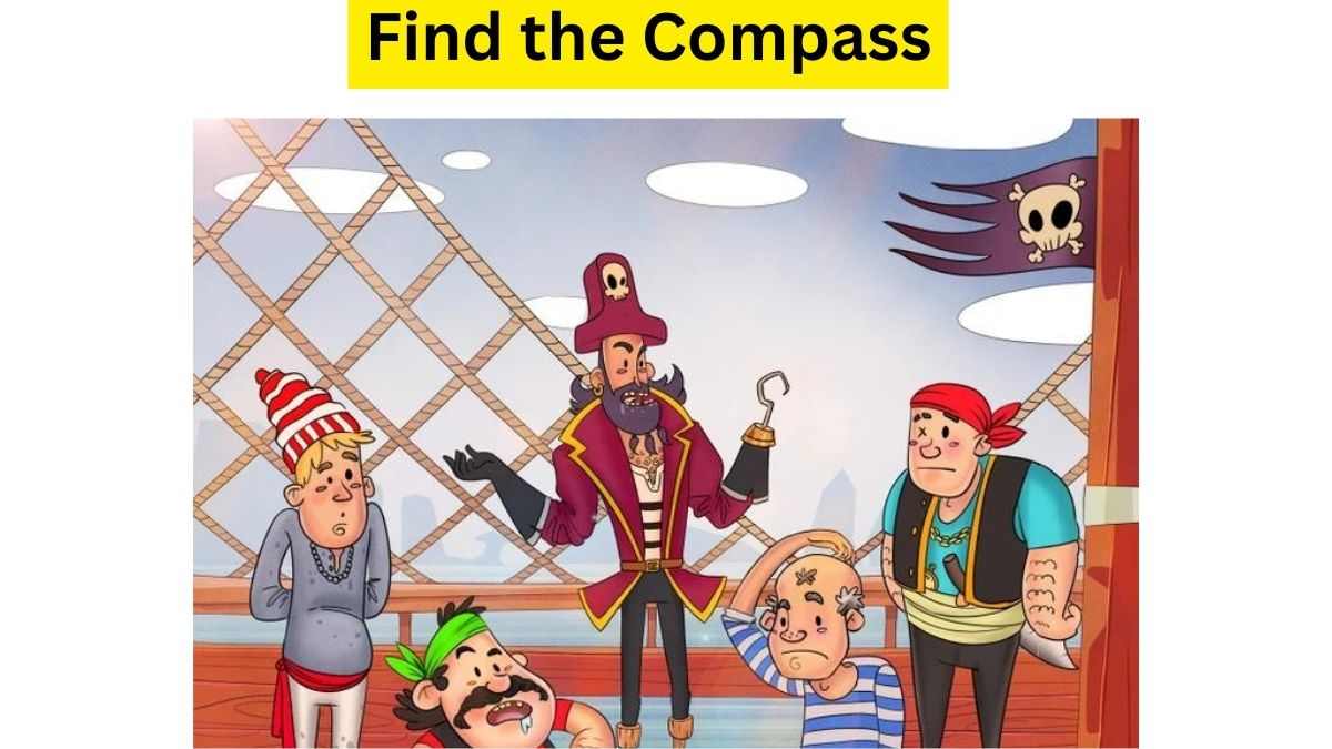 All The Keen Eyes Humans! Dare You To Find The Compass Of Pirates Hidden In The Picture Within 23 Seconds! 