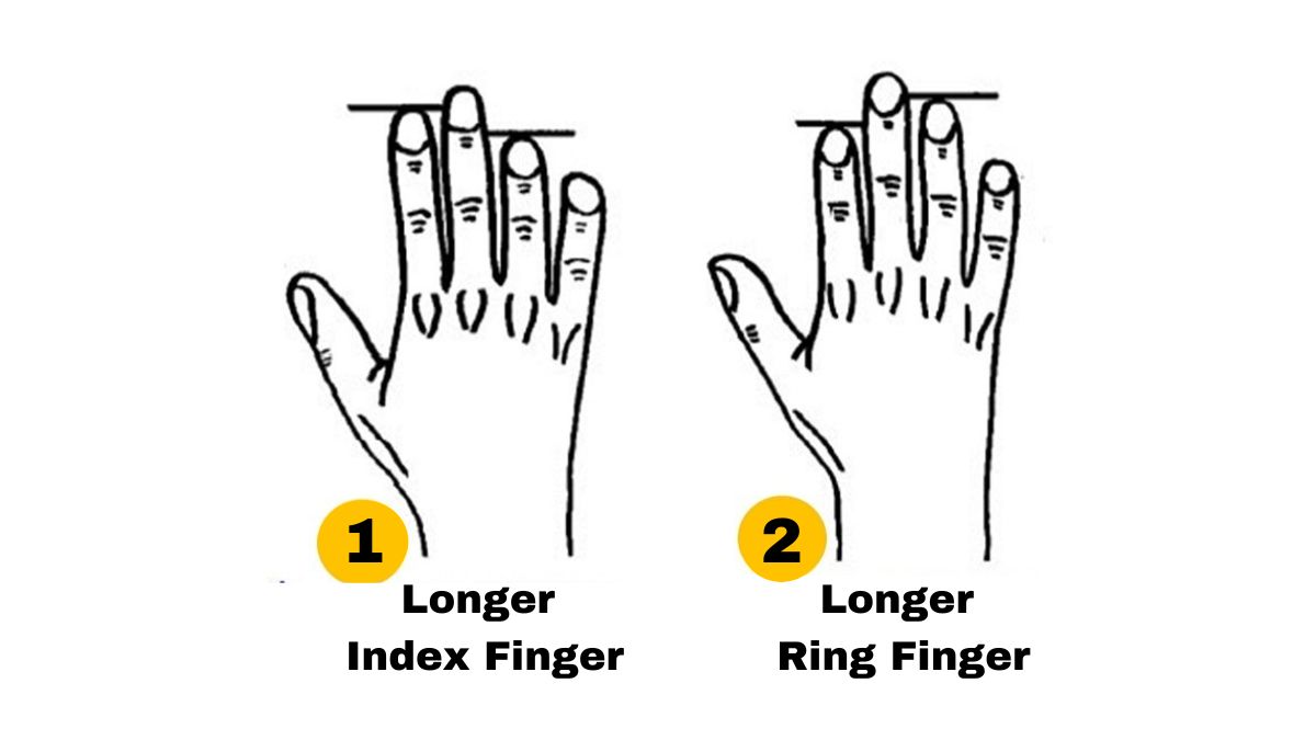Different Length Finger Index Ring स्टॉक फोटो 2132603433 | Shutterstock