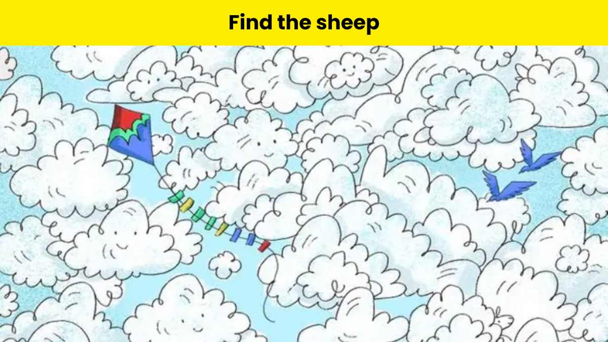 Only geniuses can spot the sheep hidden among clouds in 9 seconds.