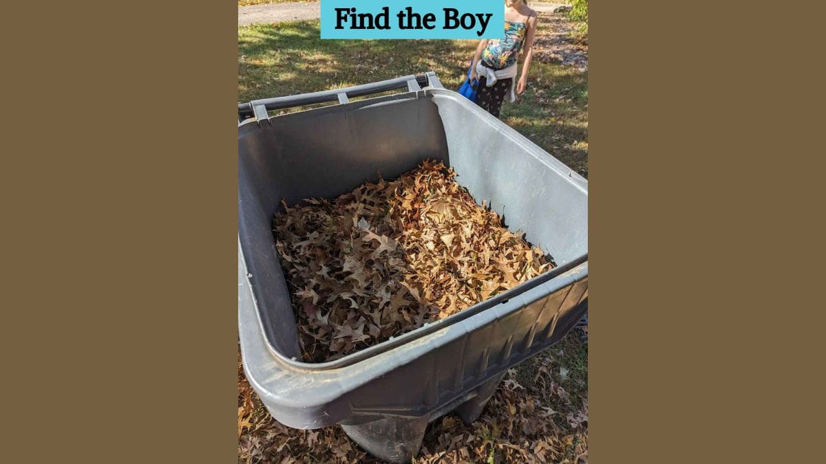 Only people with high eye power can spot the hidden boy in the picture in 6 seconds!