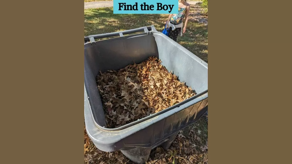 Find the boy
