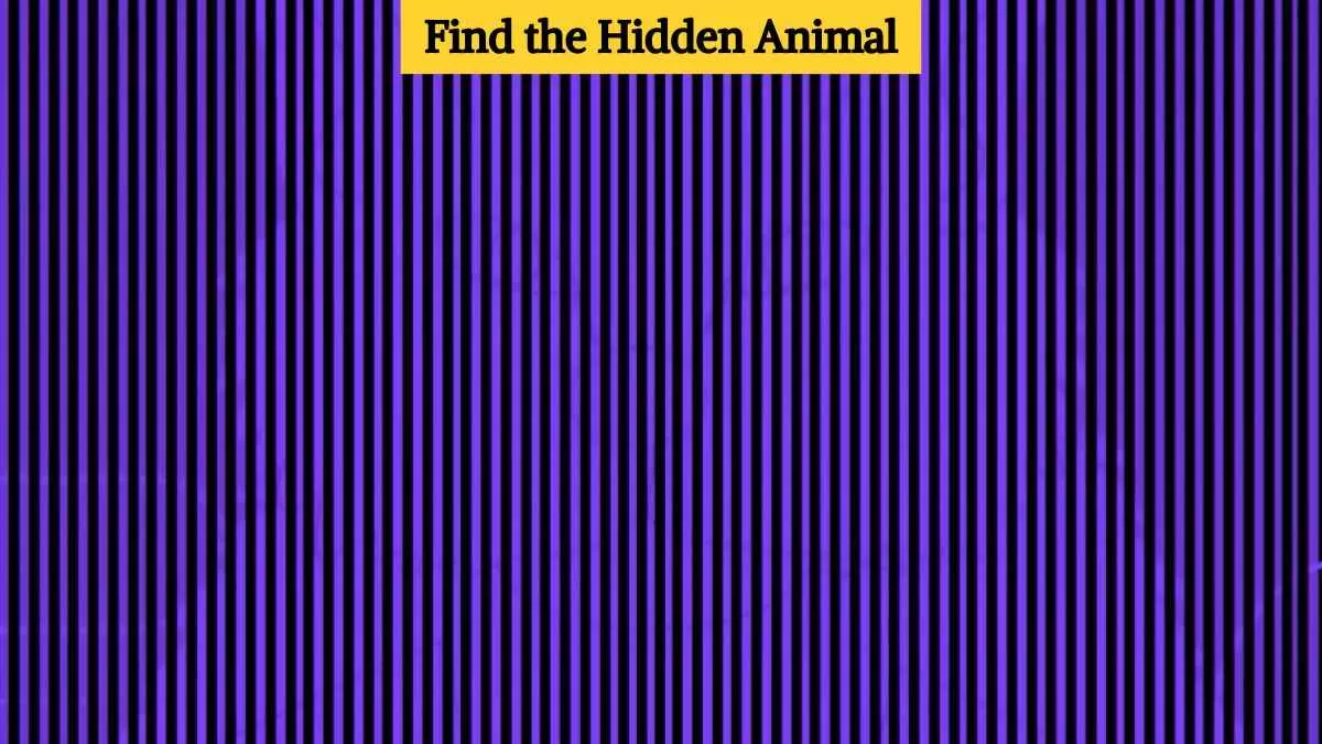 Find the hidden animal