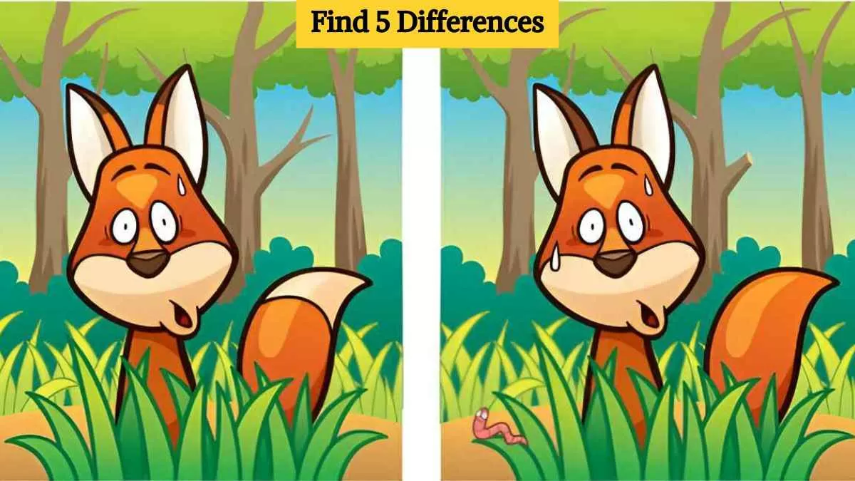 Find 5 differences between the red fox pictures