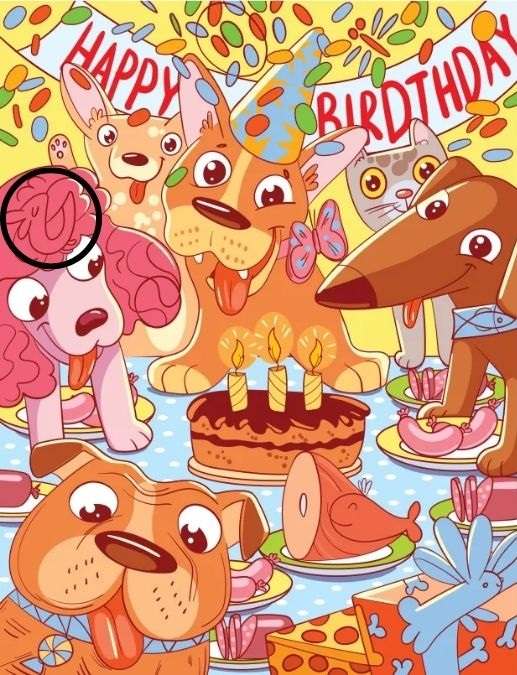 optical illusions with answers