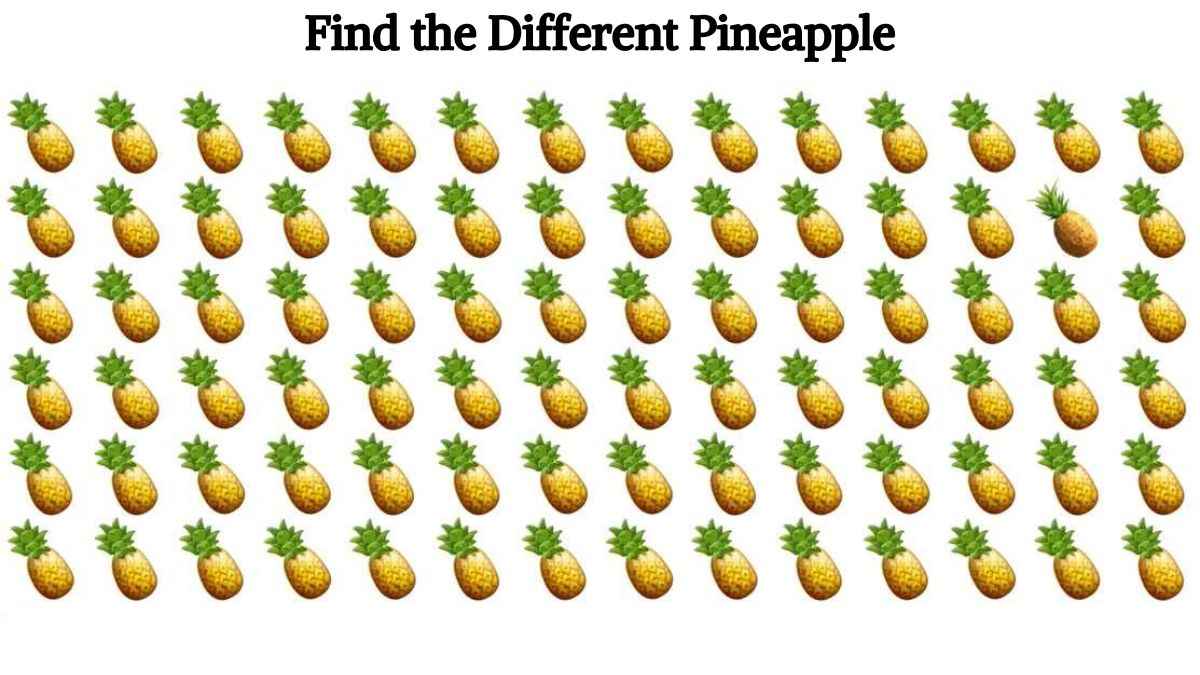 Optical Illusion: Find the odd pineapple in the picture in 3 seconds!