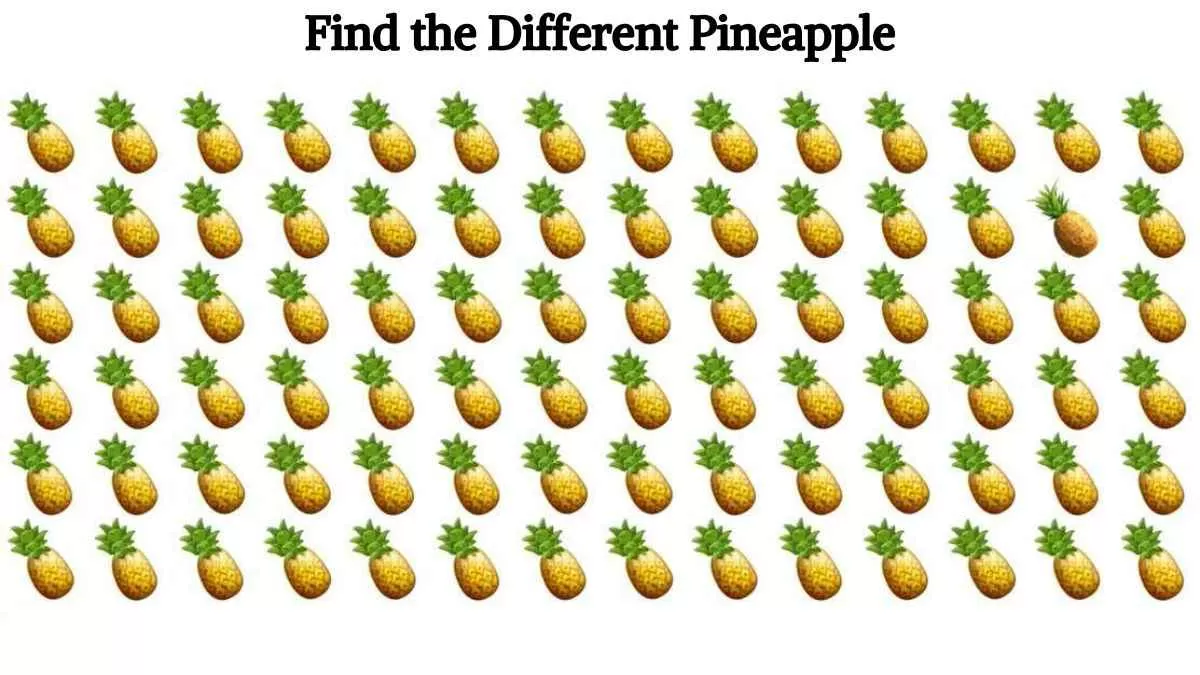 Find the odd pineapple