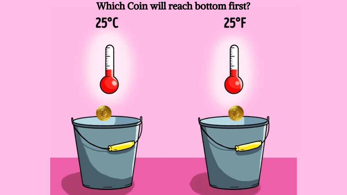 Genius IQ Test: Find which coin will reach the bottom of the bucket in 4 seconds
