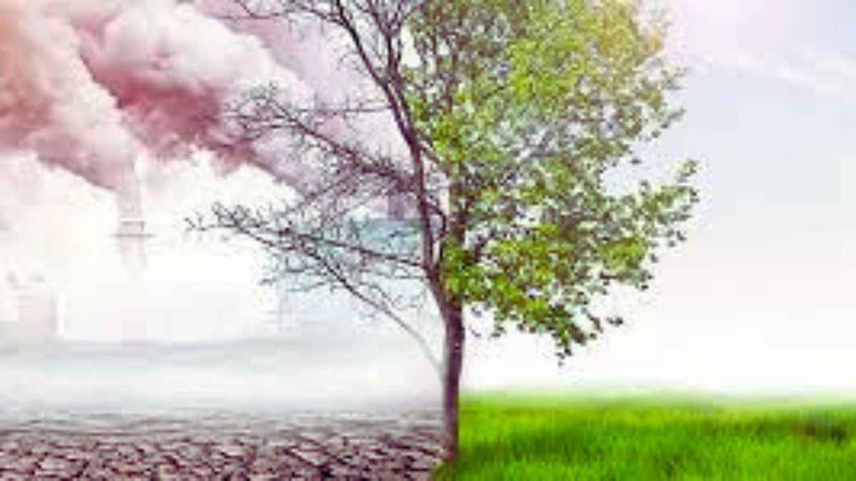Coca Cola accused of greenwashing? What exactly is greenwashing? Here is every bit explained