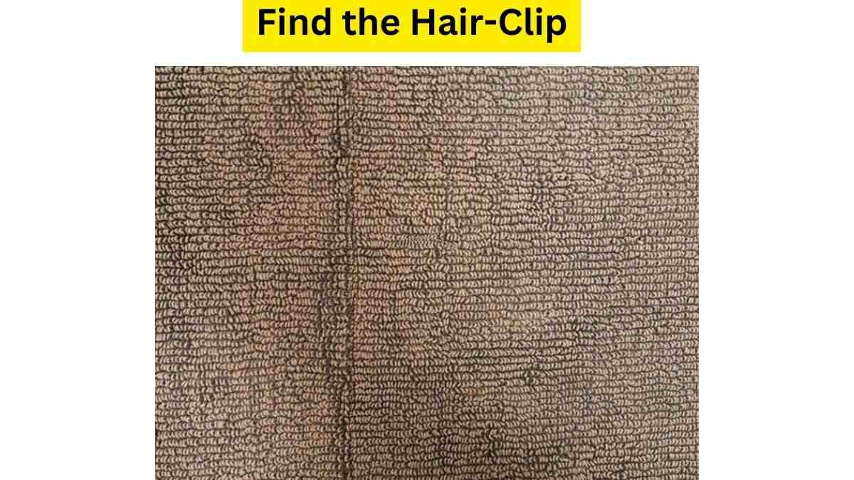 Optical Illusion: 99% Failed To Find The Hair-Clip Hidden In The Picture in 7 Seconds. Try Your Luck!