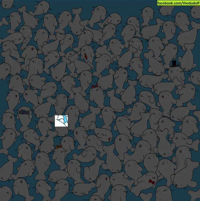 picture puzzles with hidden answers