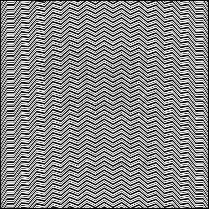 hidden animals optical illusions pictures