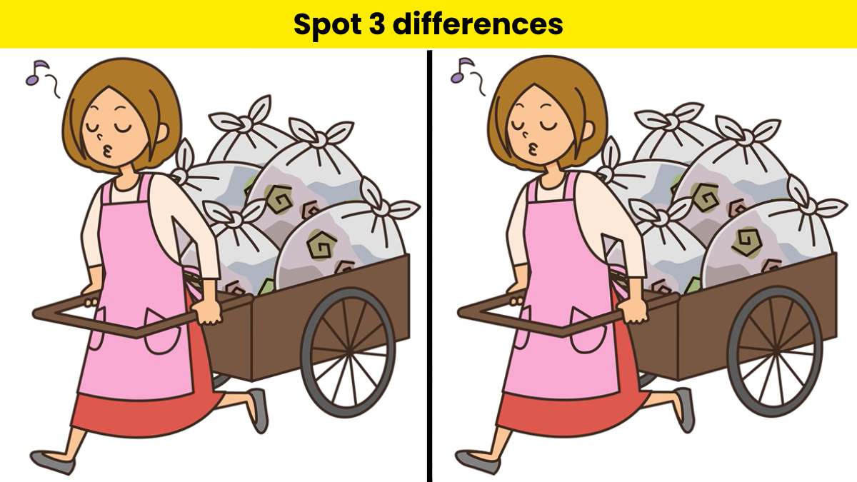 You are a smart observer if you can spot 3 differences between the street vendor pictures within 10 seconds. 