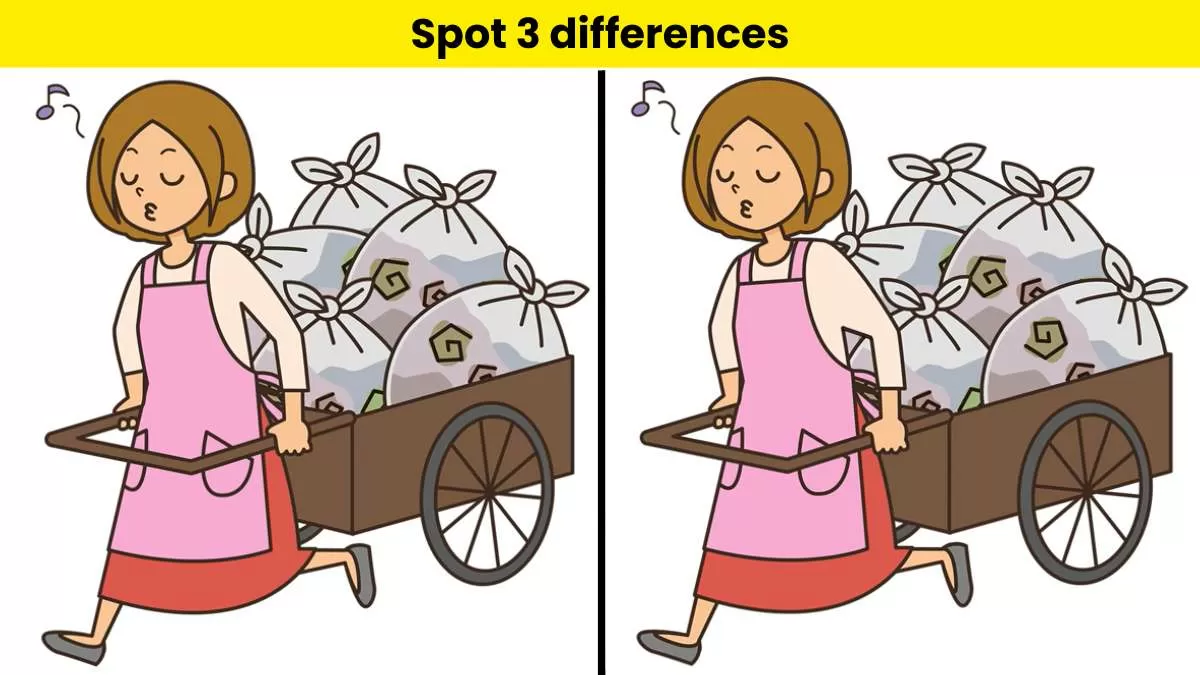 Can you spot 3 differences in 10 seconds?            