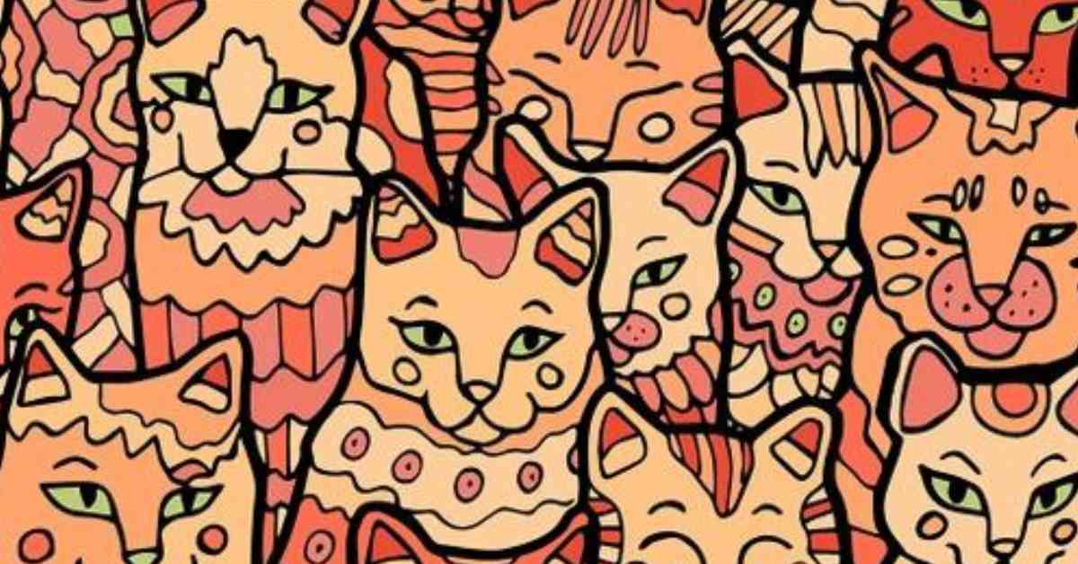 Seek and Find Puzzle That Will Determine How Smart You Are: Can You Spot the Hidden Star Among the Cats in 9 Seconds?