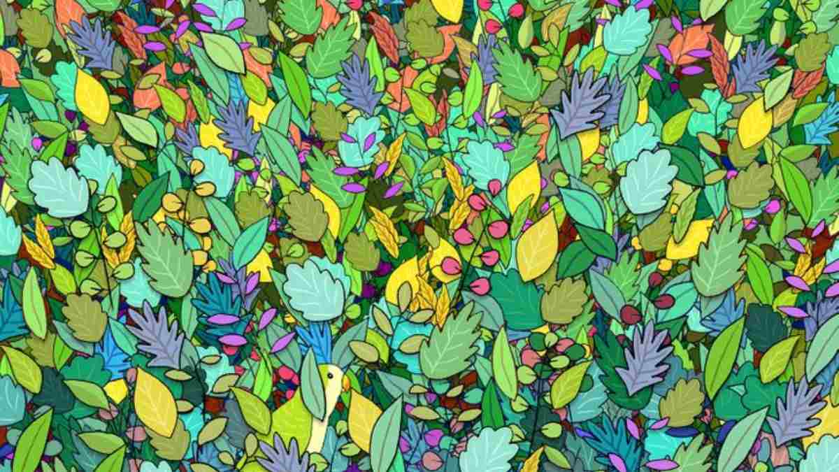 Only 1 out of 10 people can spot the parrot hidden among leaves in 8 seconds!