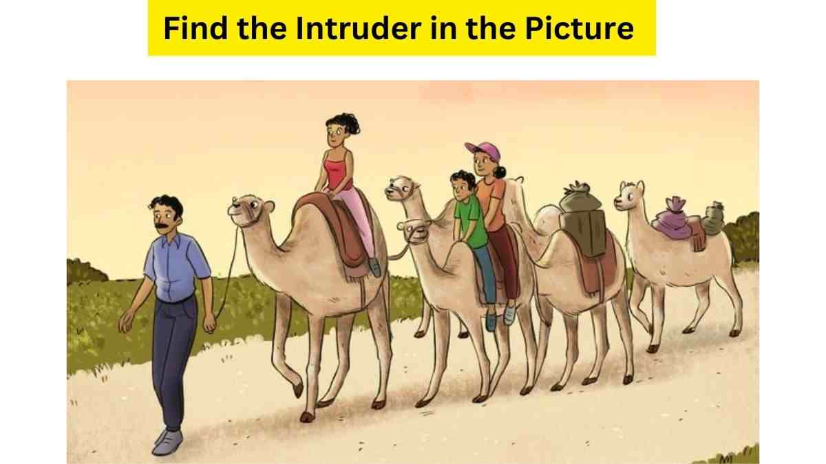  Mental IQ Test: Put Some Strain On Your Brain And Find The Odd Animal In The Picture. 21 Seconds Left!