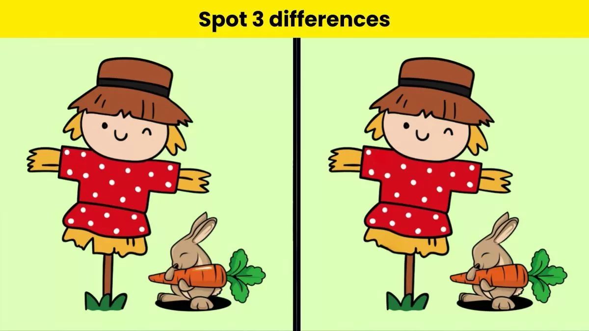Can you spot 3 differences in 11 seconds?