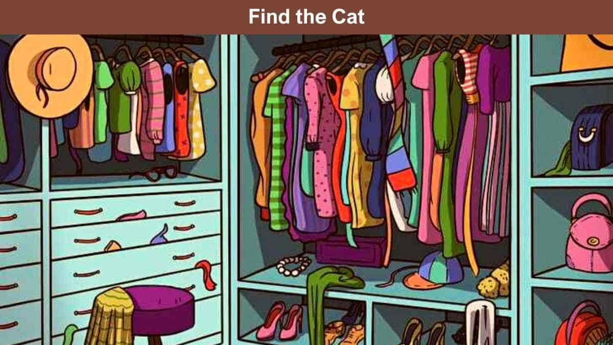 Only highly observant eyes can spot the cat in the wardrobe in 7 seconds! - Vimarsana News