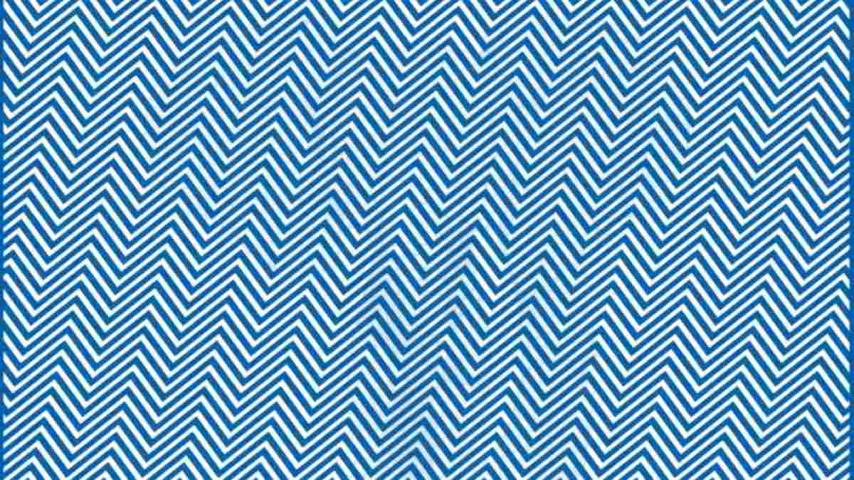 Only The Sharpest Minds Can Spot The Hidden Animal In 8 Seconds!