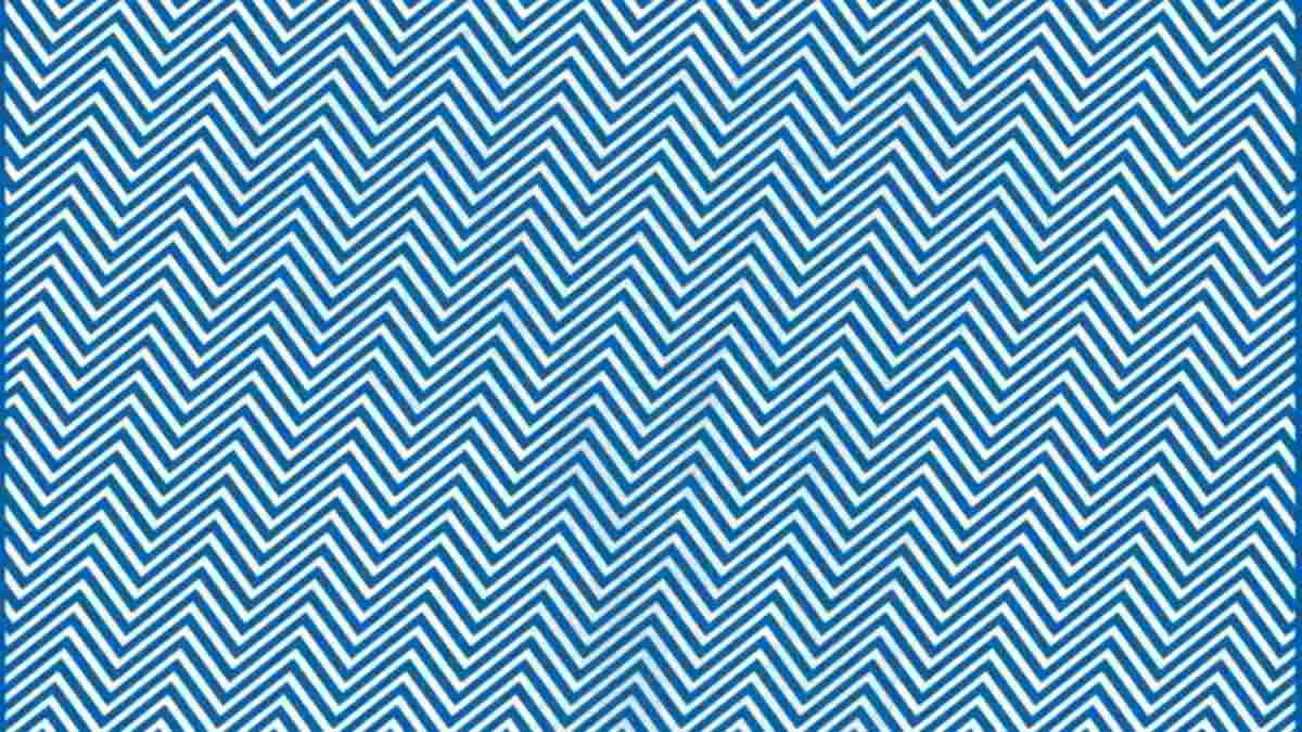 Can you find the hidden animal?