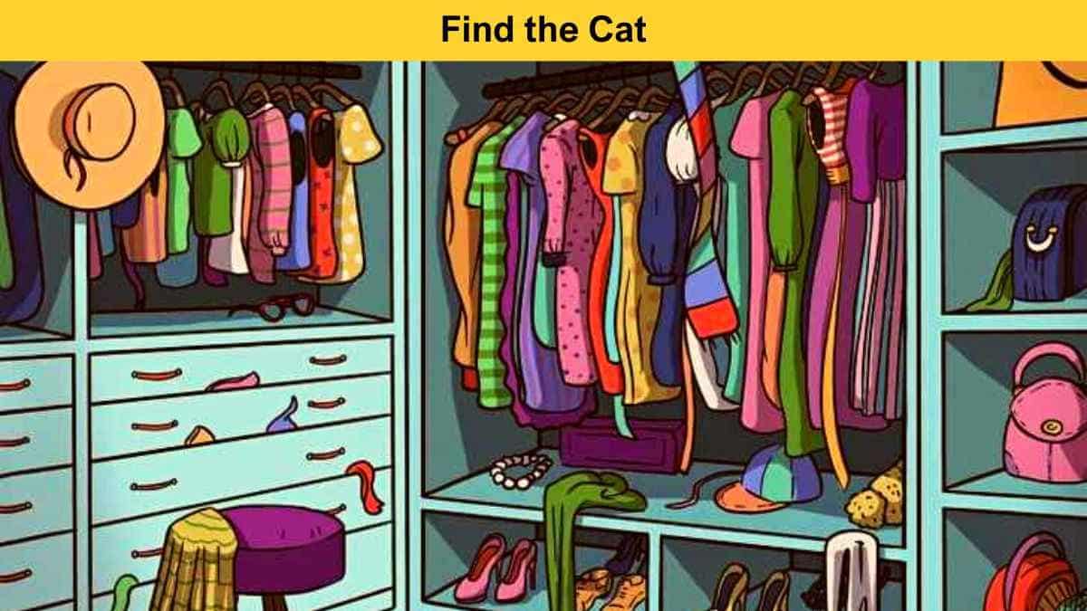 You have eagle eyes if you can spot the cat in the wardrobe in 7 seconds!