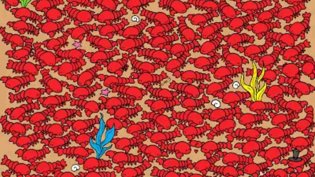 You have 20/20 vision if you can spot the four crabs among lobsters in 8 seconds!