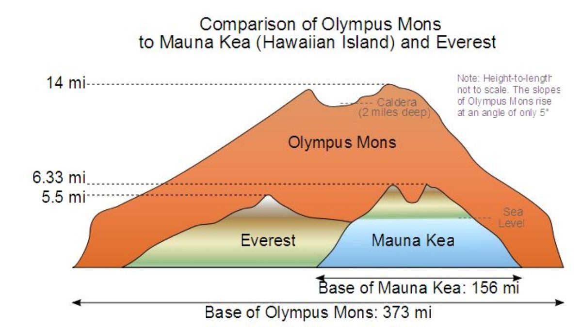 olympus mon comparison mount everest