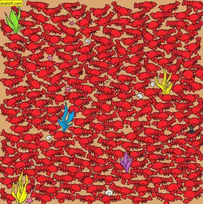 hidden optical illusions to test iq