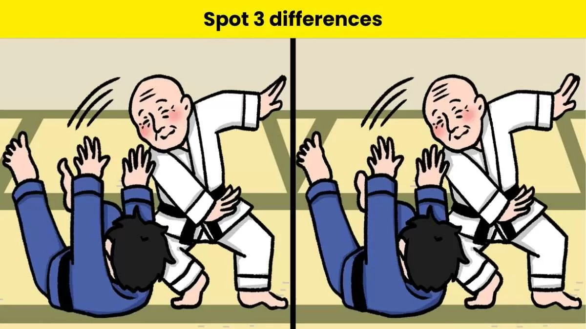 Spot 3 differences between the karate pictures 