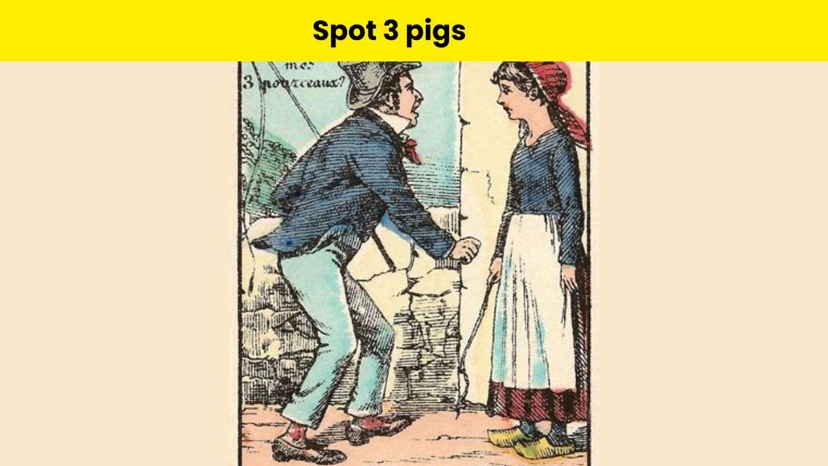 You are a champion observer if you can spot the swineherd’s 3 lost pigs in 6 seconds.