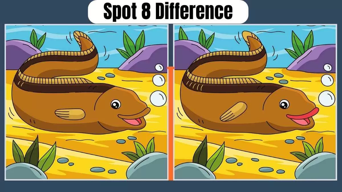 Spot 8 Differences Within 11 Seconds