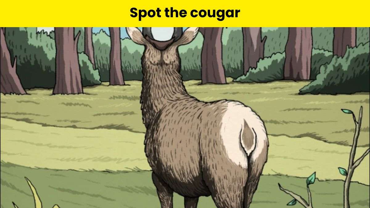 You have the eyes of a hunter if you can spot the cougar stalking the deer in 8 seconds.