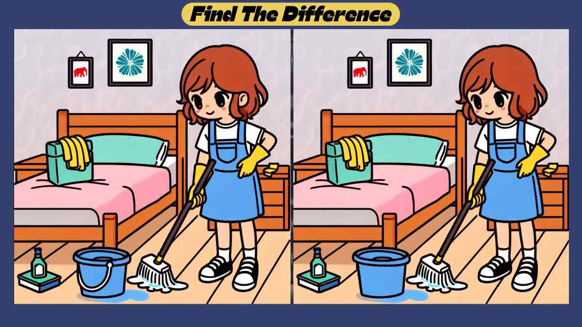 Spot the 3 Differences Between Bedroom Cleaning Pictures in 41 Seconds