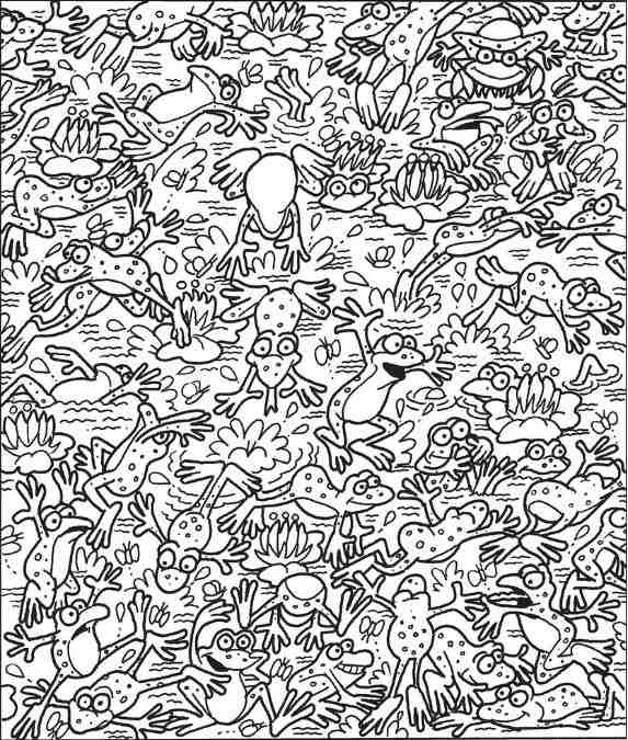 hidden optical illusions