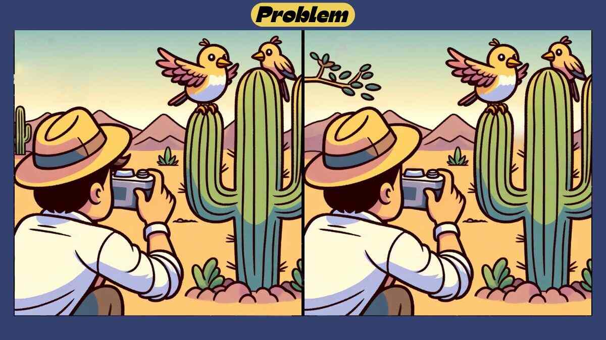 Find 4 Differences in 42 Seconds in This Bird Photography Scene