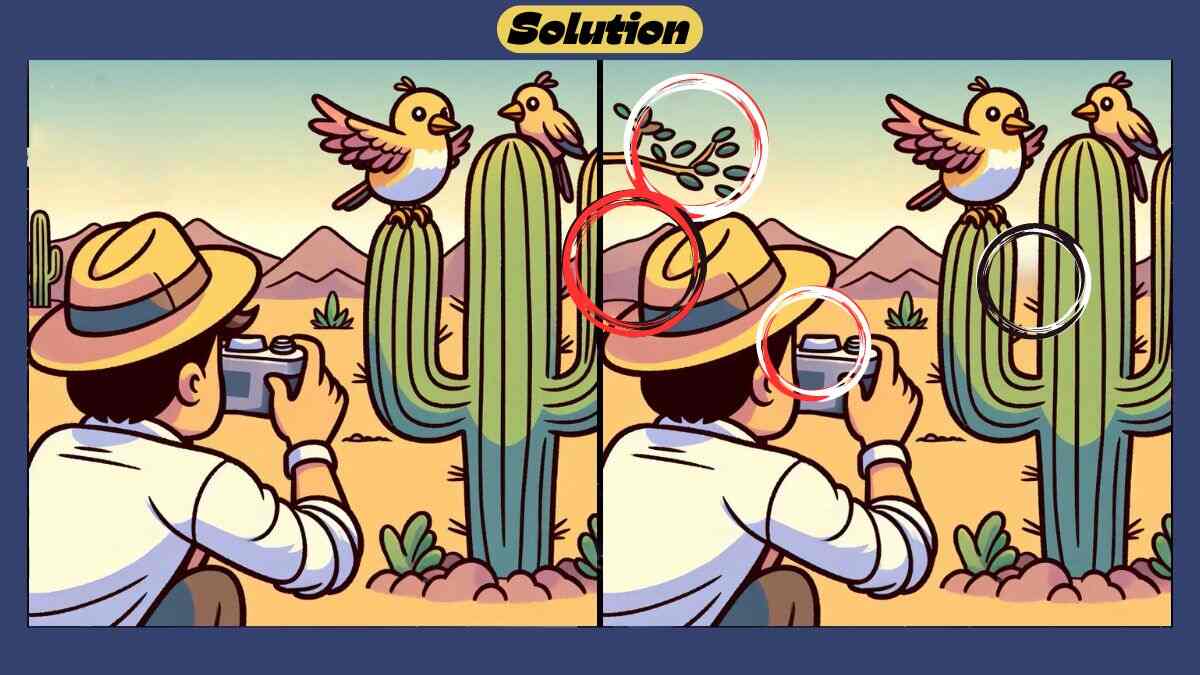 Find 4 Differences in 42 Seconds in This Bird Photography Scene