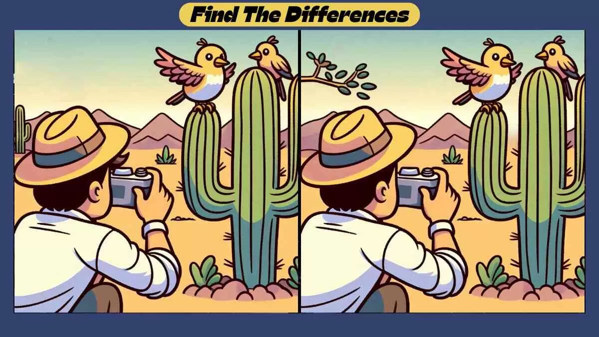 Find 4 Differences in 42 Seconds in This Bird Photography Scene