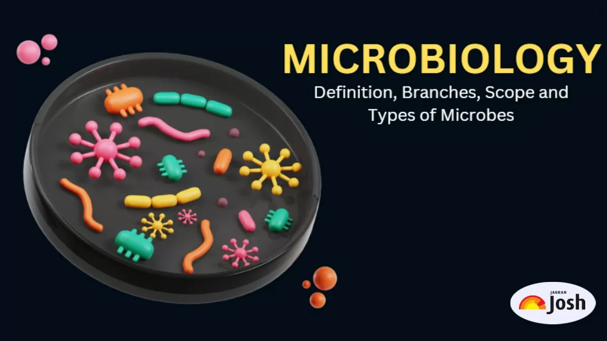 Know Here Microbiology Definition, Branches, Scope and Types of Microbes