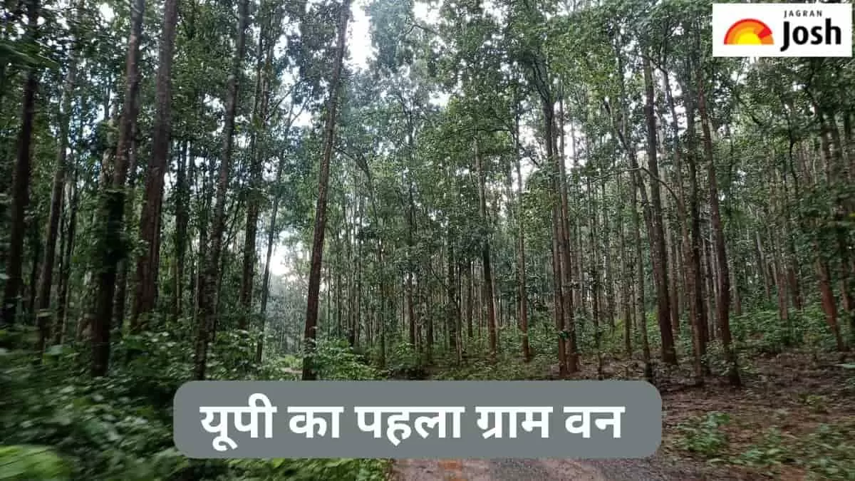 यूपी का पहला ग्राम वन