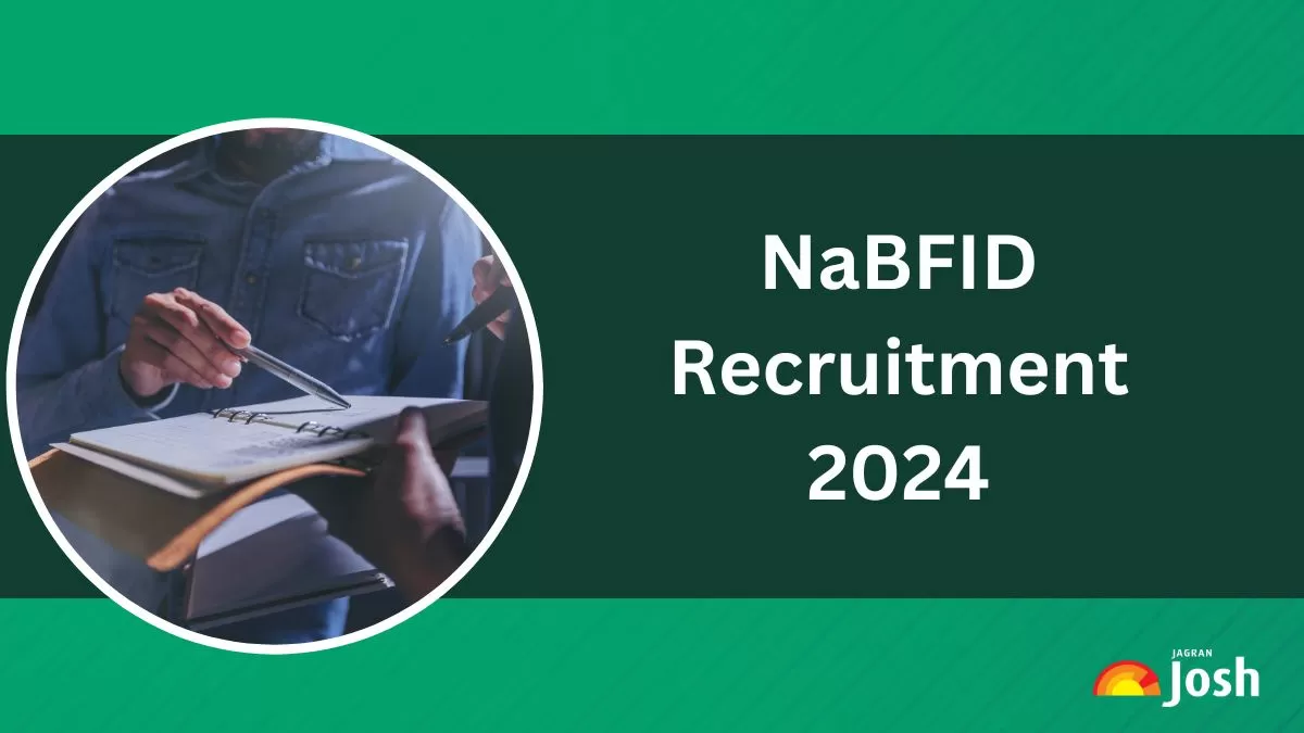 NaBFID Recruitment 2024