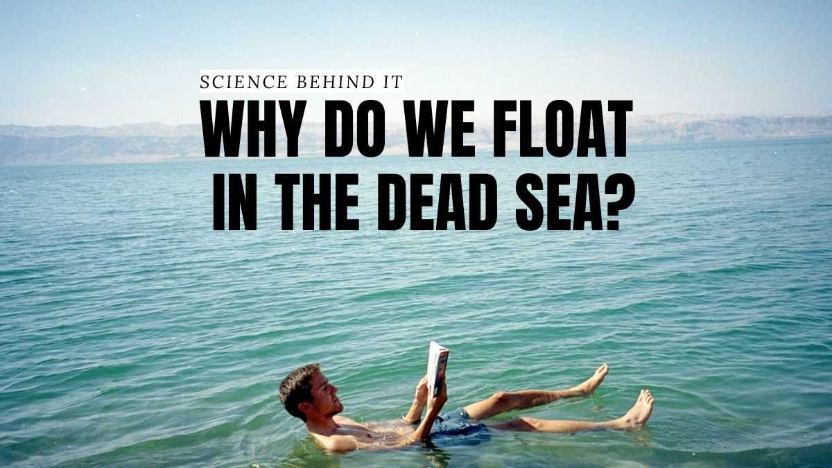 Science Behind It: Why Do We Float In The Dead Sea?