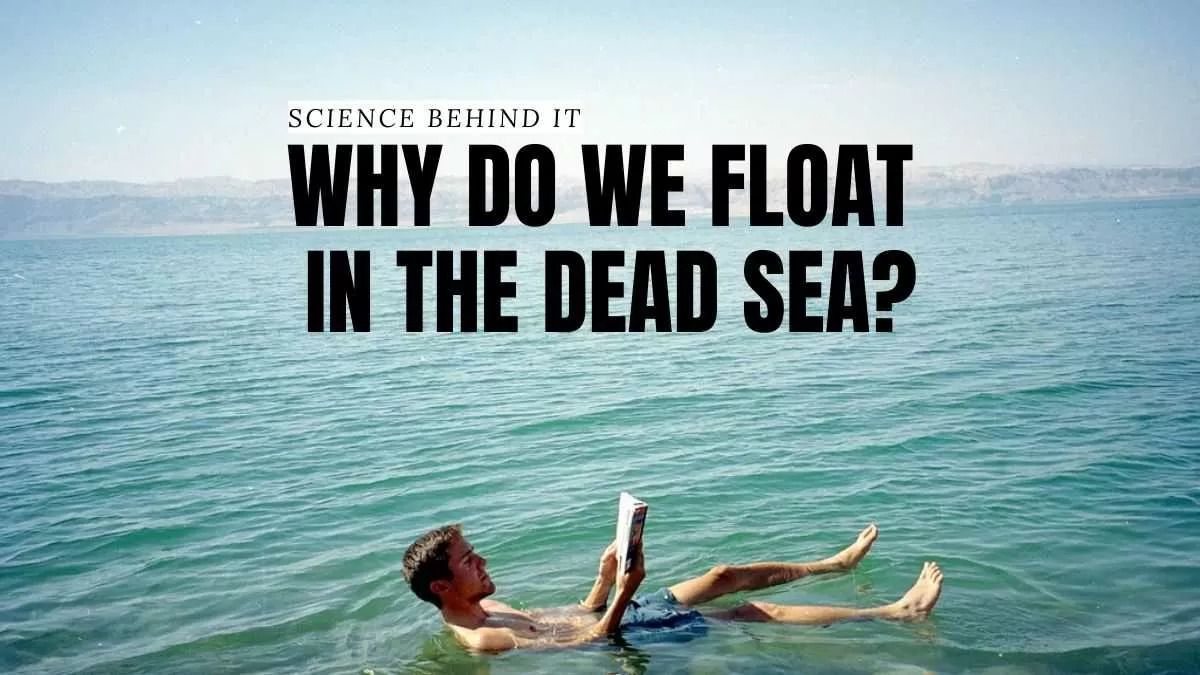 Science Behind It: Why Do We Float In The Dead Sea?