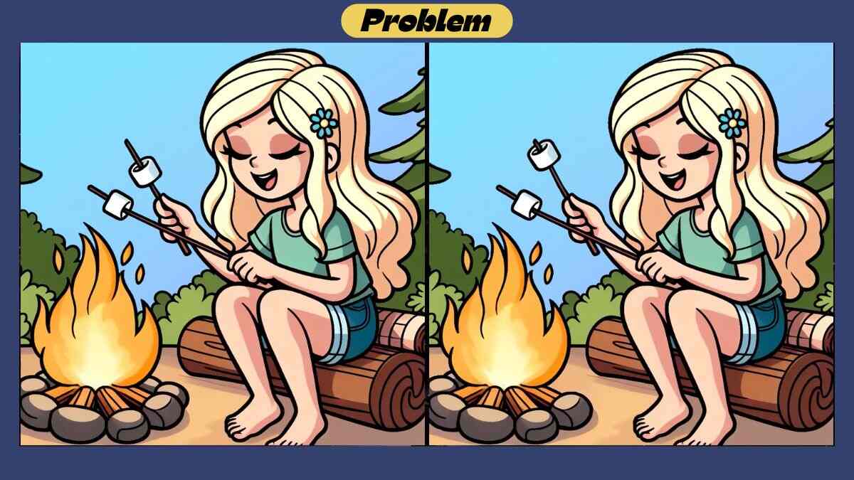 Find 3 Differences in 44 Seconds in This Marshmallow Roasting Scene