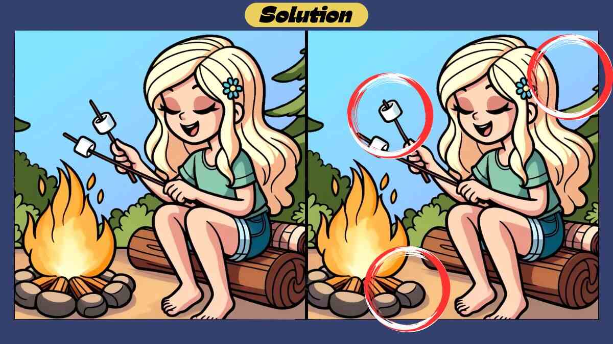 Find 3 Differences in 44 Seconds in This Marshmallow Roasting Scene