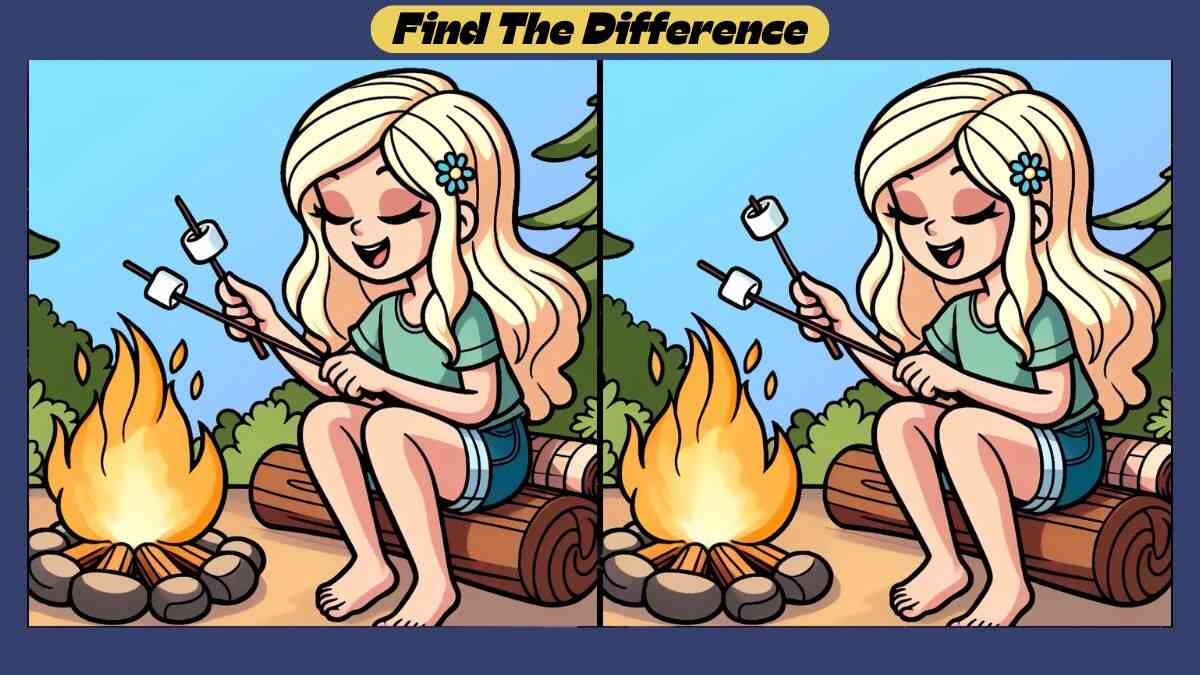 Spot 3 Differences Between Marshmallow Roasting Pictures in 44 Seconds