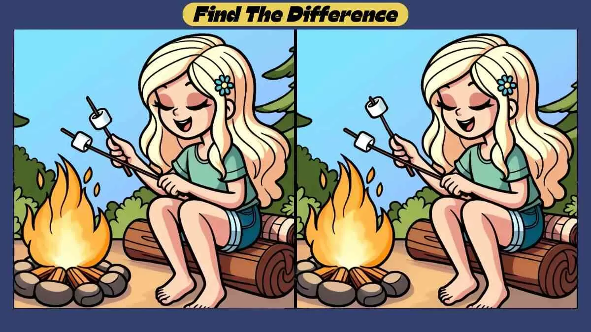 Find 3 Differences in 44 Seconds in This Marshmallow Roasting Scene